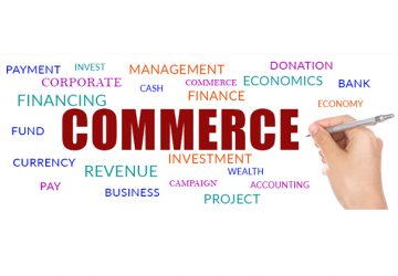 B.Ed in Commerce